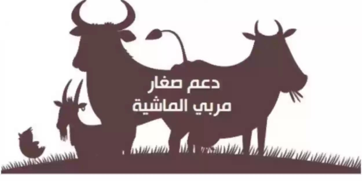 الاستعلام عن أهلية دعم ريف برقم الهوية